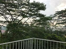 The Skywoods (D23), Condominium #503837751